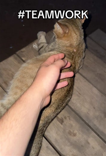 Exploring the Power of Teamwork