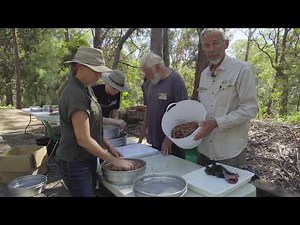 Processing Seed for Seed Bank Storage - North Coast Regional Seed Bank
