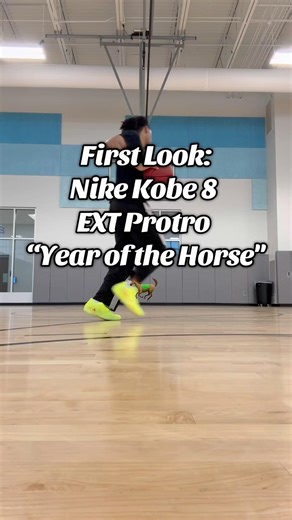 Nike Kobe 8 EXT Protro “Year of the Horse" #explore #fyp #basketball #nike #kobe #kobebryant #viral