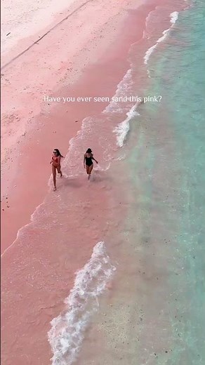 Have You Ever Seen Sand This Pink? 🌸 Pink Beach | Komodo Luxury Boat Charter
