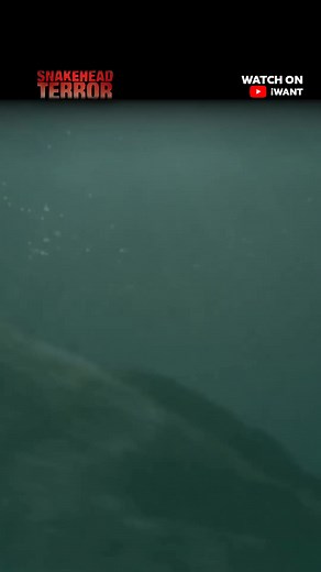 1.1M views · 2.9K reactions | New fear unlocked! Watch #SnakeheadTerror and more full English movies on iWant’s YouTube channel for FREE! Available in the Philippines only. | ABS-CBN | Facebook