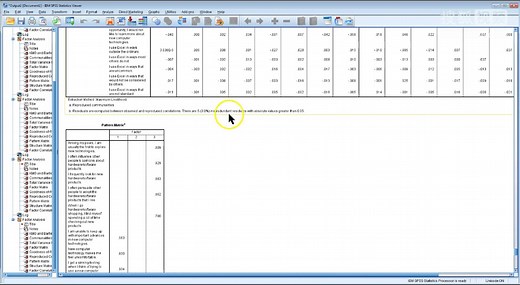 SPSS 技巧：变量和标签的使用技巧 Variable Names vs Labels