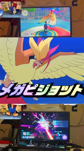 Pokémon Mega Pidgeot
