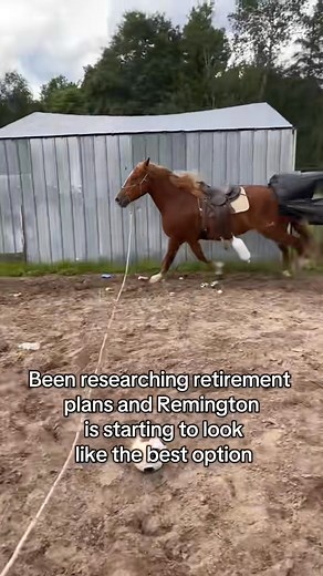 113K views · 1K reactions | It seems like the best option? I’m also considering Smith and Wesson retirement, Henry’s retirement plan, and of course Marlins 藍藍藍 #horsetraining #horses #horse #funny #darkhumor #retirement #farmlife #ranchlife | Deb Trippler | Facebook