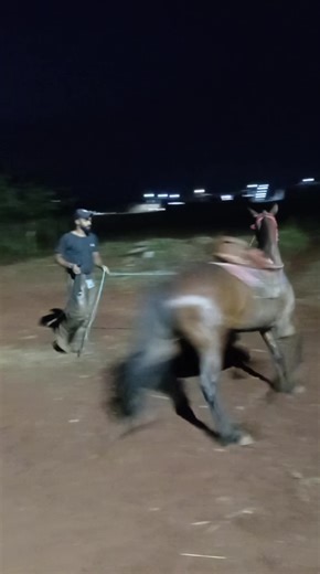 Os vídeos de Clevert Aparecido lnacio Apare (@clevert.aparecido) com som original - kassio Barra