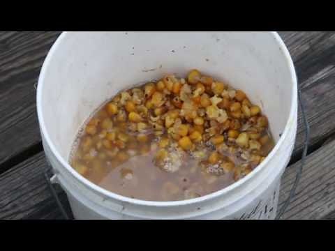 How-to Make Carp Corn Bait Tutorial