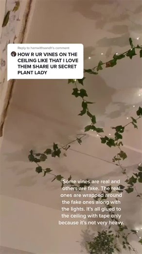 Creative Ways to Hang Vines and Lights from Your Ceiling