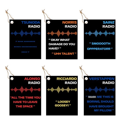 F1 Team Radio Quote Keychain: Motorsport Fan Gift, Custom Option Available - Etsy