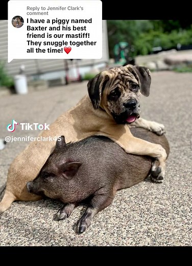 Jennifer Clark on TikTok