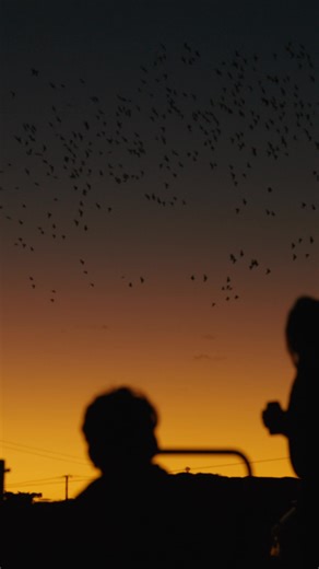 Where life is richer in the moments that count. | South Australia