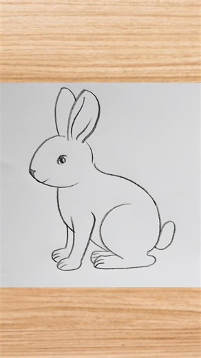 How to draw rabbit drawing easy step by step