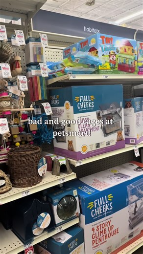 Hamster Cage Safety: Finding the Right Setup