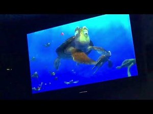 Finding Nemo movie clip (3/5) grab my shell dude! Scene