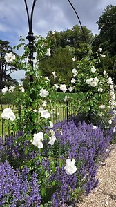 Enjoy a peaceful moment in our Formal Gardens. Take the scenic route through the delicate roses, wonder around the Water Terraces and enjoy a stroll through our parkland. | Blenheim Palace