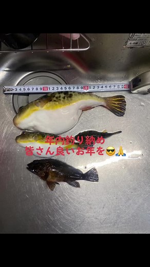 おすすめのアカウント