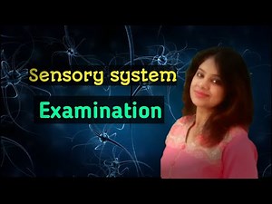 Sensory system examination