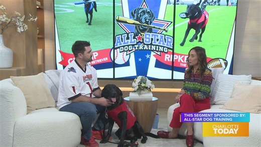 Dog Training That Helps You and Your Dog - sponsored by All-Star Dog Training