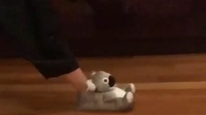 Katie Holmes shares hilarious video doing splits in koala slippers