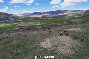 Protein Animation Videos, Download The BEST Free 4k Stock Video Footage & Protein Animation HD Video Clips