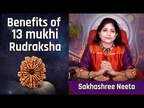13 Mukhi Rudraksha For Attraction & Sexuality | 13 Mukhi for Magnetic Charisma & Charm