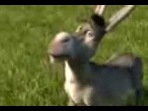 shrek russian professional voice-over