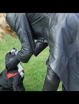 Mismerizing Collection leather long coats of office wear ideas designs