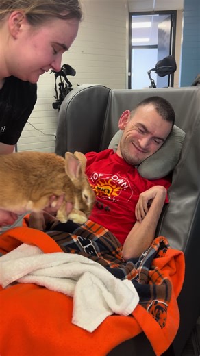 Springtime Fun with Bunnies and Ducklings for Students