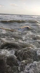 Canal CNC Córdoba on Reels