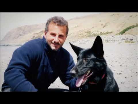 United 93 The Families And The Film 9/11