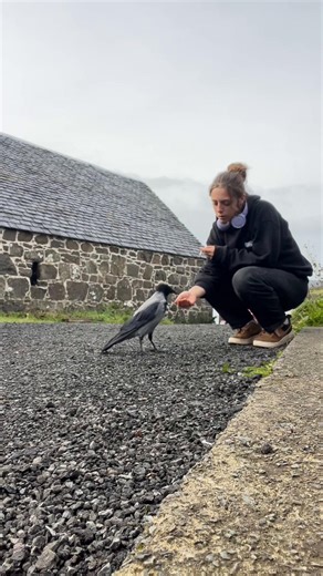 How to Befriend Birds for Enriching Connections