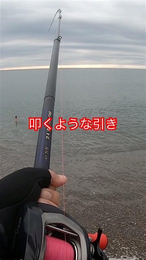 A lucky start to the year! #Double-axis long-distance casting cage fishing