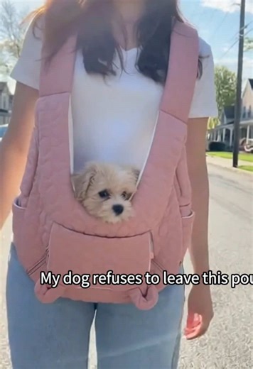 Adjustable front-facing pet travel backpack with removable bottom safety device, suitable for cats, dogs, and rabbits. Ideal for travel, camping, and hiking.#pet #dog #dogsoftiktok #travel #tiktokmademebuyit