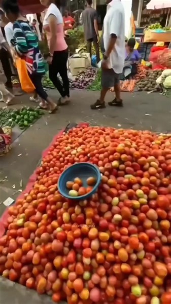 Mapusa Market is traditional market in North Goa and a major tourist attraction. It was built in 1960, the first planned market in Goa. #mapusamarket #amchegoa #goa | Amche Goa