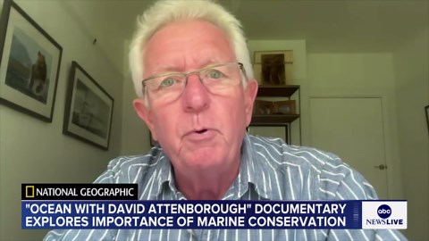 ‘Ocean with David Attenborough’ explores importance of marine conservation