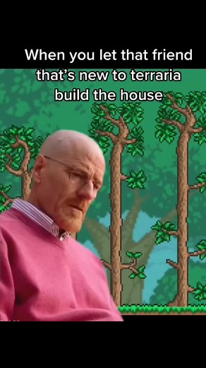 Terraria memes #terraria #kesfet #terrariaturkiye #empressoflight #terrarian #meme #build #slimeking #calamity #foryoupage #fypp #fypシ