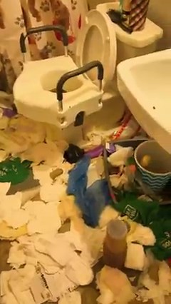 1.3M views · 48K reactions | Another day, Another satisfying free hoarder clean  #cleaning #FreeCleaning #cleaningmotivation #cleaningservice | Not the Worst Cleaner | Facebook