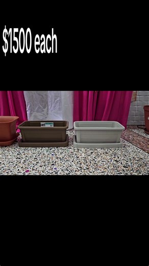 🌿 Window Box Planters These versatile window box planters are perfect for growing flowers, herbs, vegetables, strawberries, and small plants. Ideal for windowsills, patios, gardens, porches, or indoor décor. ✨ Features: • Suitable for indoor & outdoor plants • Drainage holes for healthy root growth • Attached removable saucer to prevent water overflow • Perfect for flowers, herbs, and vegetables 💰 Price: $1,500 each 📍 Ambika’s Plant Shop Lot 4 Vigilance, North East Coast Demerara 📲 WhatsApp: