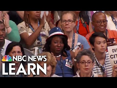 What Are Political Parties?