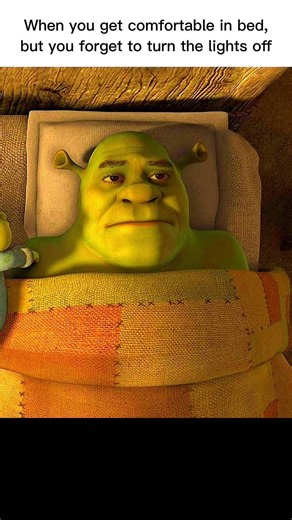 Bruh💀 #pov #relatable #fyp #viral #shrek #trend #shorts