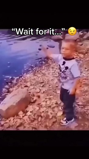 Understanding the Science Behind Flinch Reactions