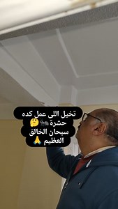 2.8K views · 7.2K reactions | لغز من الغاز النمل الأبيض الجوفى، بالصبر والكشف الدقيق اتحل بفضل الله، عملية تنفيذ منطقة كيلوباترا، الاسكندرية | Alex Green - Pest Control EST. 1993 | Facebook