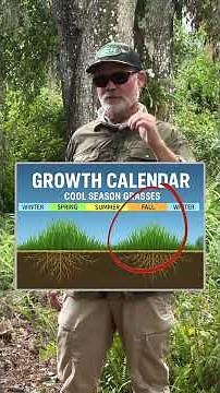 Master Cool-Season Lawn Care Before Winter