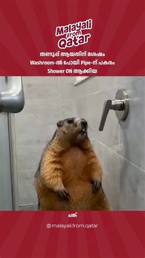 Malayali from Qatar on Instagram: "വല്ലാത്ത ഒരു അവസ്ഥ ആണ് അത്🤣 Mention That Chunk🤣 ➖➖➖➖➖➖➖➖➖➖ Instagram @malayali.from.qatar | @malayali.from.dubai | @malayali.from.gcc | @malayali.from.oman | @malayali.from.bahrain | @malayali.from.kuwait | @malayali.from.saudiarabia | @malayalii.from.uae DM us for Collaboration🫂 Tag and Use #malayalifromqatar . . . #qatarmalayalis #qatarmallu #qatar #comedy meme fyp malayalam mallu reel mallus mentionthatchunk reelkarofeelkaro reelsgrowth reelitfeelit algor