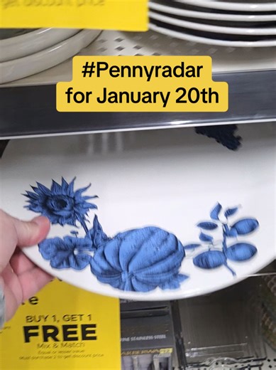 Penny Shop Visuals for January 20th Release