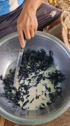 Best Protein for heath. | Wilderness Food