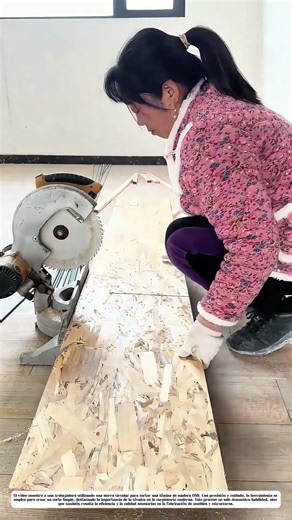 Corte Preciso con Sierra Circular: El Arte de Trabajar la Madera
