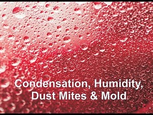 Condensation, Humidity, Dust Mites & Mold