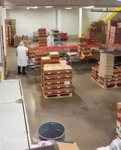 FreshPoint, Inc. on Instagram: "Ever wonder how we make sure every tomato is uniform? 🍅✨ ⁠ ⁠ Step inside FreshPoint Dallas’ pre-pack facility and meet our superstar: the Optical Sorter! This state-of-the-art tech inspects every single tomato for quality, so only the best make it to your kitchen. ⁠ ⁠ Freshness you can see and definitely taste.⁠ ⁠ #PeoplePassionProduce ⁠"