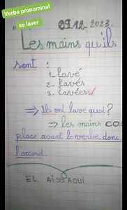 L'accord de participe passé avec un verbe pronominal : se laver. ----------------------------------------- #shorts #grammaire #elaissaoui ------------------------------------- El aissaoui | El aissaoui