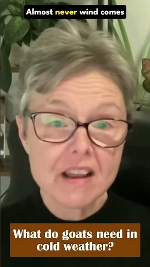 What do goats need in cold weather?